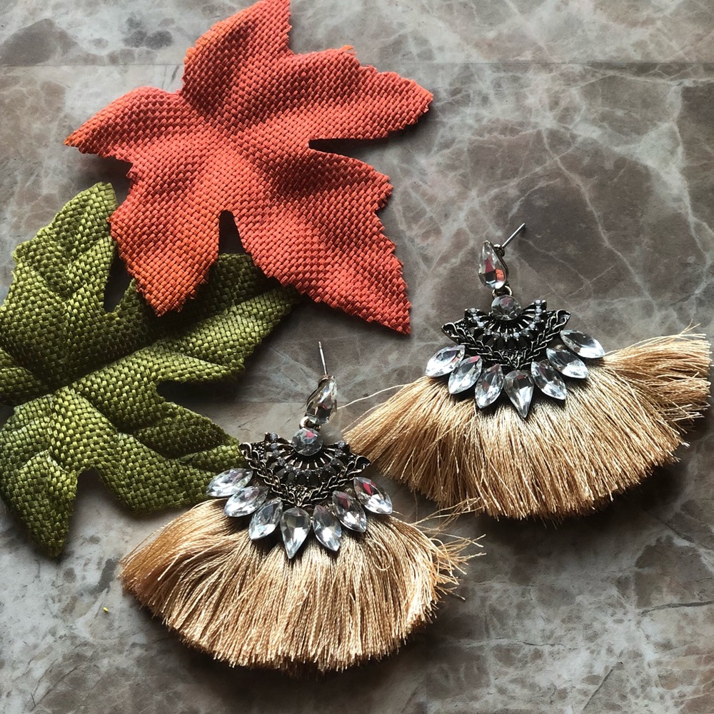 Tassle earrings !
